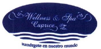 WELLNESS & SPA CAPRICE SUMERGETE EN NUESTRO MUNDO