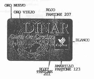 DINAR CAJASUR