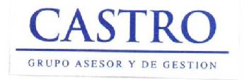 CASTRO GRUPO ASESOR Y DE GESTION