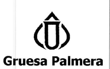 GRUESA PALMERA