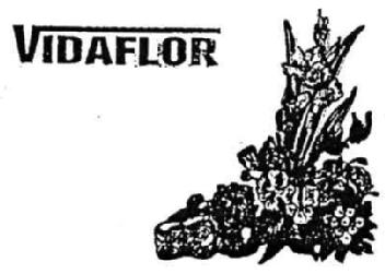 VIDAFLOR
