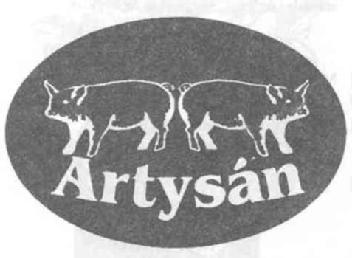 ARTYSAN