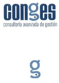 CONGES CONSULTORIA AVANZADA DE GESTION G