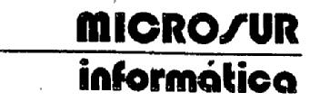 MICROSUR INFORMATICA