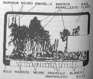 MARTORELL