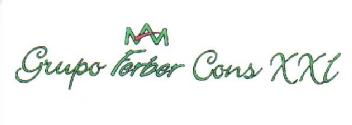 GRUPO FERBER CONS XXI