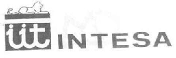 IIT INTESA