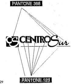 CS CENTROSUR