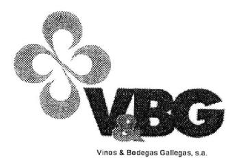 V&BG VINOS & BODEGAS GALLEGAS, S.A