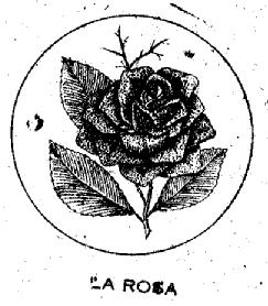 LA ROSA