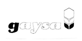 GAYSA