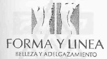 FORMA Y LINEA