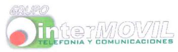 GRUPO INTERMOVIL TELEFONIA Y COMUNICACIONES