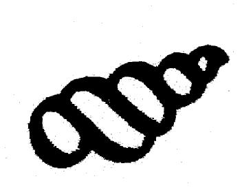 M2597489