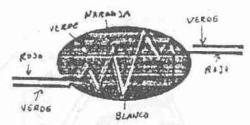 M1547205