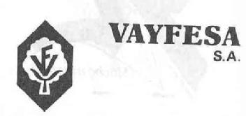 VF VAYFESA S.A