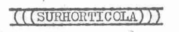 SURHORTICOLA