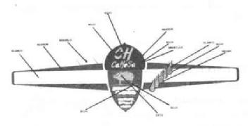 CH CAHESA