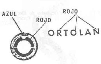 ORTOLAN