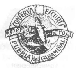 CONSERVAS ESCURIS