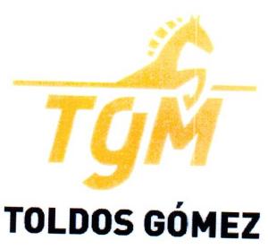 TGM TOLDOS GOMEZ