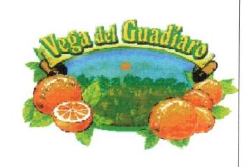 VEGA DEL GUADIARO