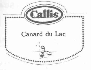 CALLIS CANARD DU LAC