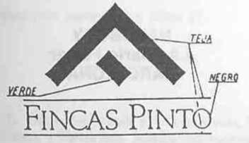 FINCAS PINTO