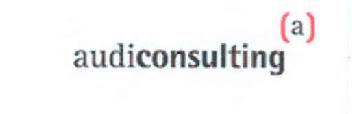 (A) AUDICONSULTING