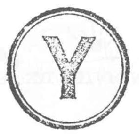 Y