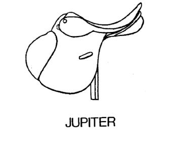 JUPITER
