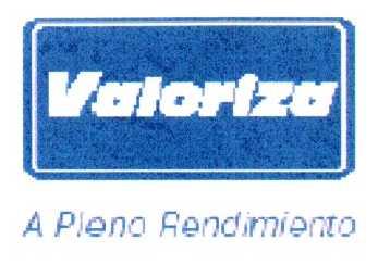 VALORIZA A PLENO RENDIMIENTO