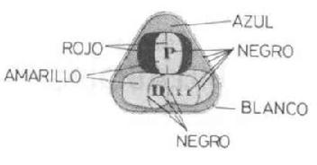 P.D.,S.A