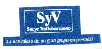 SYV SACYR VALLEHERMOSO LA NATURALEZA DE UN GRAN GRUPO EMPRESARIAL