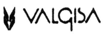 VALGISA