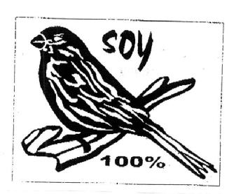 SOY 100%