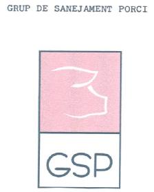 GSP GRUP DE SANEJAMENT PORCI