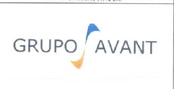 GRUPO AVANT