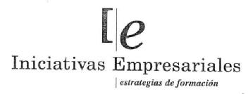 IE INICIATIVAS EMPRESARIALES ESTRATEGIAS DE FORMACION