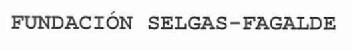 FUNDACION SELGAS-FAGALDE