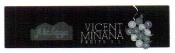 ATALAYA VICENT MIÑANA FRUITS S.L