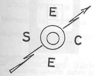 SECE
