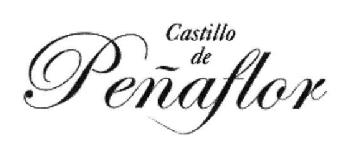 CASTILLO DE PEÑAFLOR
