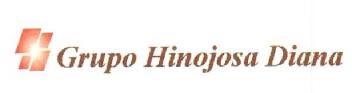 GRUPO HINOJOSA DIANA