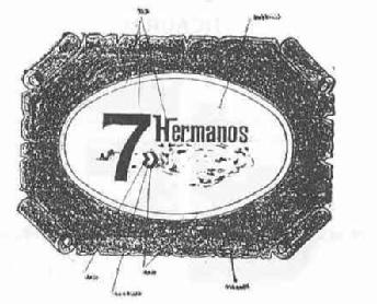7 HERMANOS