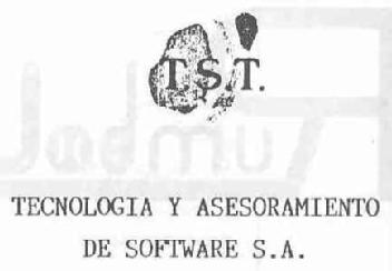 T.S.T. TECNOLOGIA Y ASESORAMIENTO DE SOFTWARE S.A