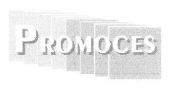 PROMOCES