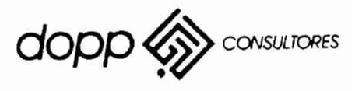 DOPP CONSULTORES