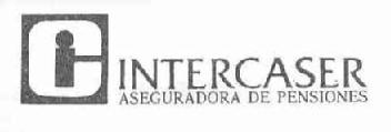 CI INTERCASER