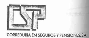 CSP CORREDURIA EN SEGUROS Y PENSIONES,S.A